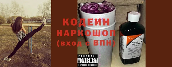 твердый Козельск