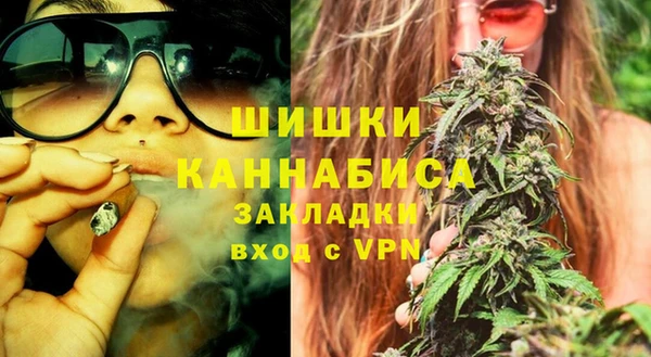 твердый Козельск