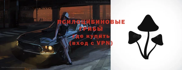 твердый Козельск