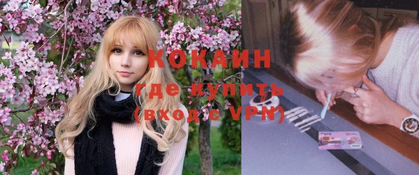 твердый Козельск