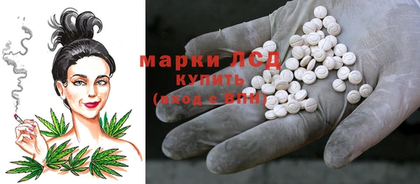 твердый Козельск