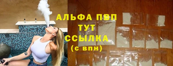 твердый Козельск